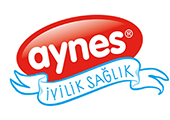 Aynes